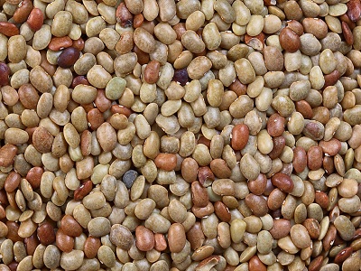 Horse Gram Horse Gram